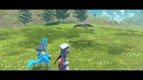 Pokémon karakters in een veld