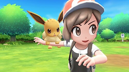 Pokémon Trainer met Eevee in een groen veld